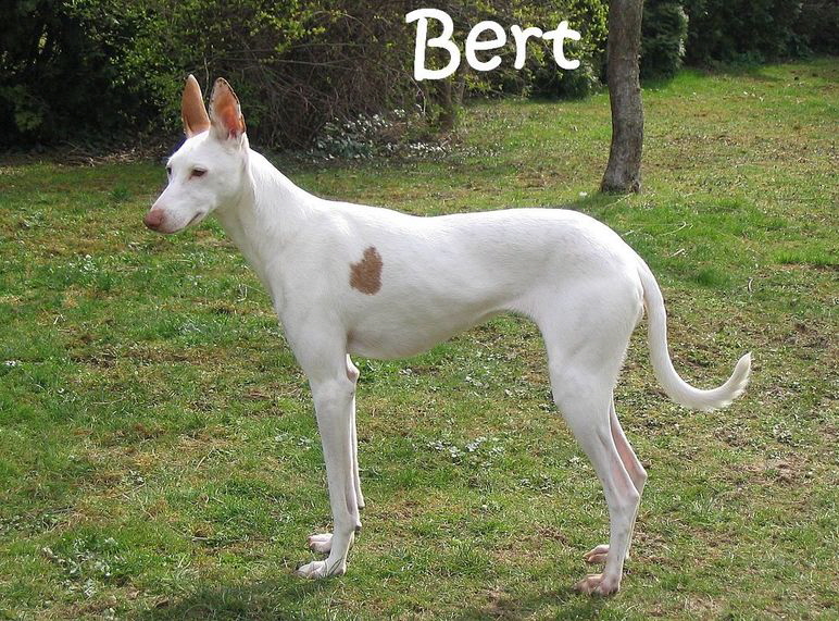 Bert_April2008 021