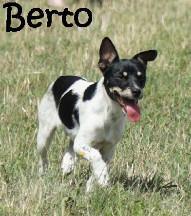 Berto_DSC03853_mN