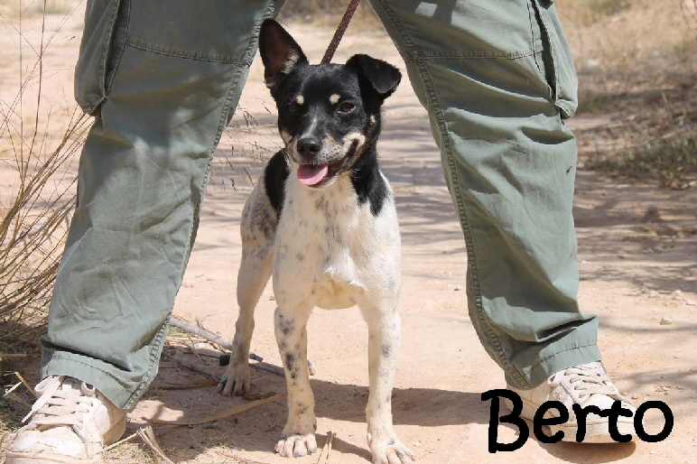 Berto_IMG_8951_mN