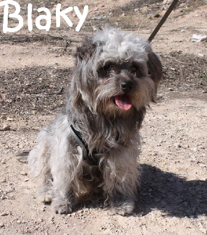 Blaky_IMG_2575_mN