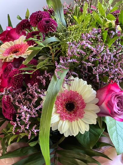 Blumen-20250821-WA0006 Blumen-20250821-WA0006