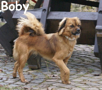 Boby_DSC00042_mN