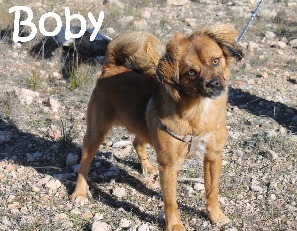 Boby_IMG_5459_mN