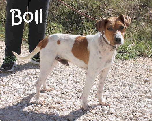 Boli_7336_mN