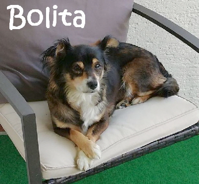 Bolita_93e86ea9-e138-44f7-a5ad-aa24676a2680_mN