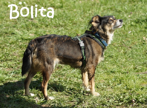 Bolita_DSC02348_mN