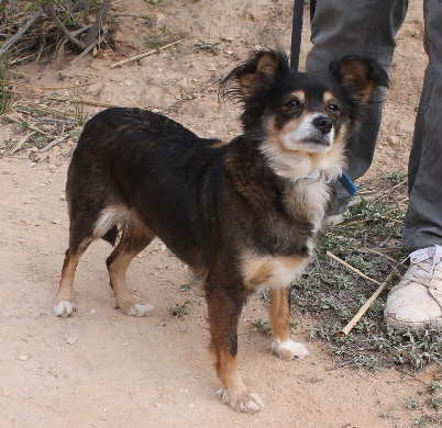 Bolita_IMG_4082