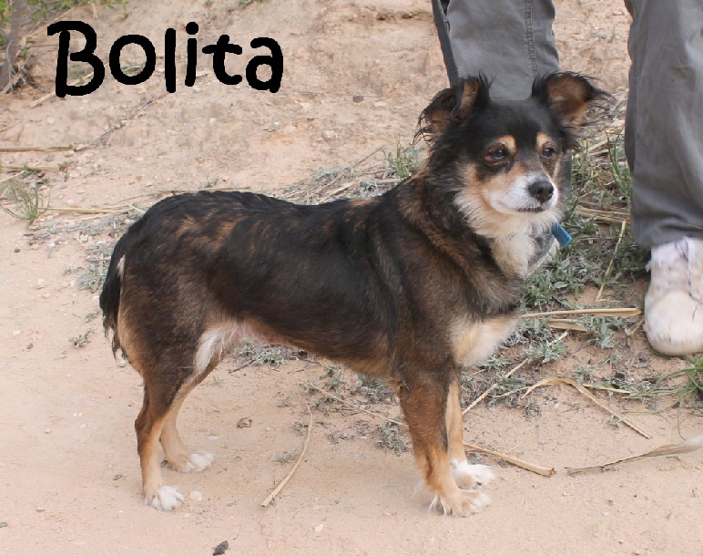 Bolita_IMG_4086_mN