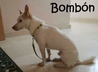 Bombon_IMG-20161017-WA0002_mN