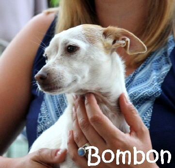 Bombon_IMG-20170628-WA0030_mN