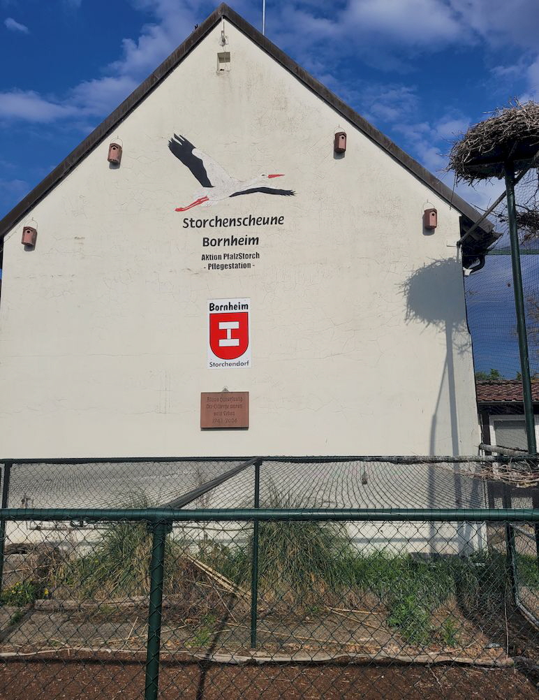 Bornheim_20230421_172655