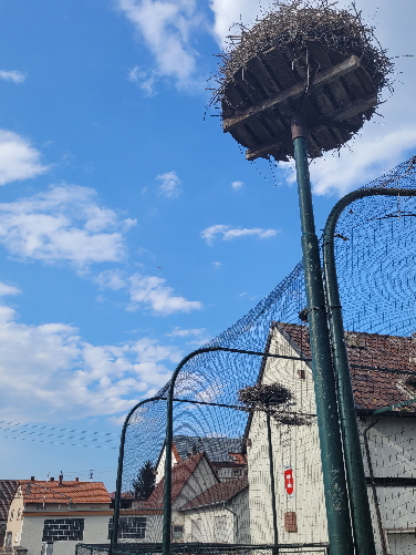 Bornheim_20230421_173112