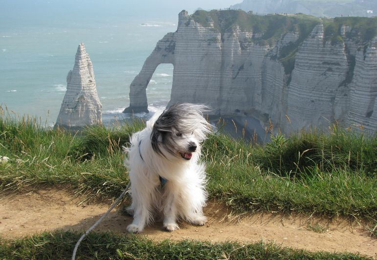 Bruno_201906-1-228-Normandie