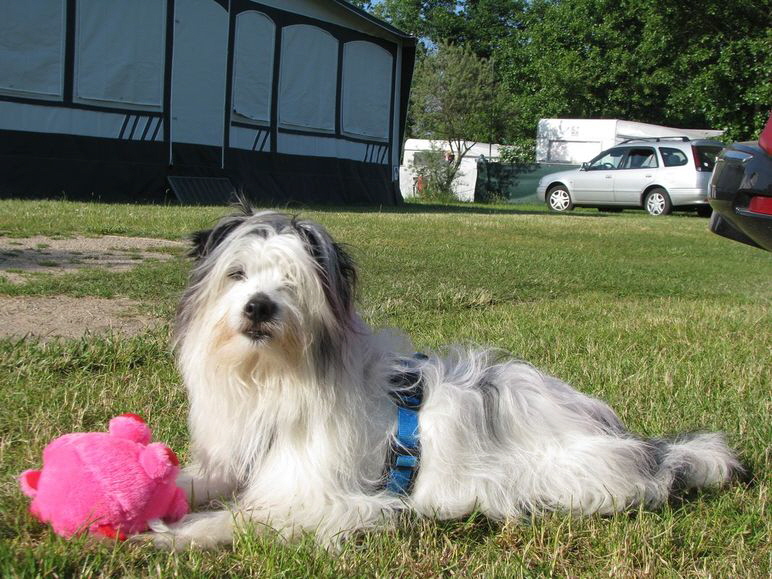 Bruno_IMG_8129