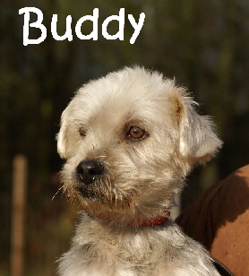 Buddy_DSC00413_mN