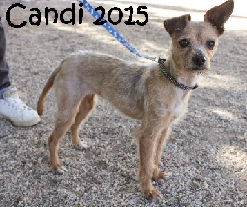 Candi_IMG_0557_mN2015