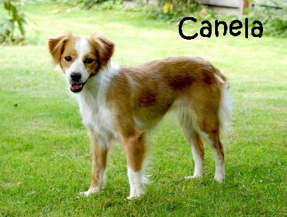 Canela_DSC07766_mN