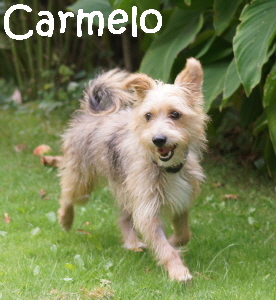 Carmelo_DSC04210_mN
