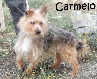 Carmelo_adjuntos_fichero_7bdde1c352a0a0fbg_mN