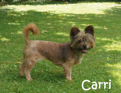 Carri_DSC07752_mN