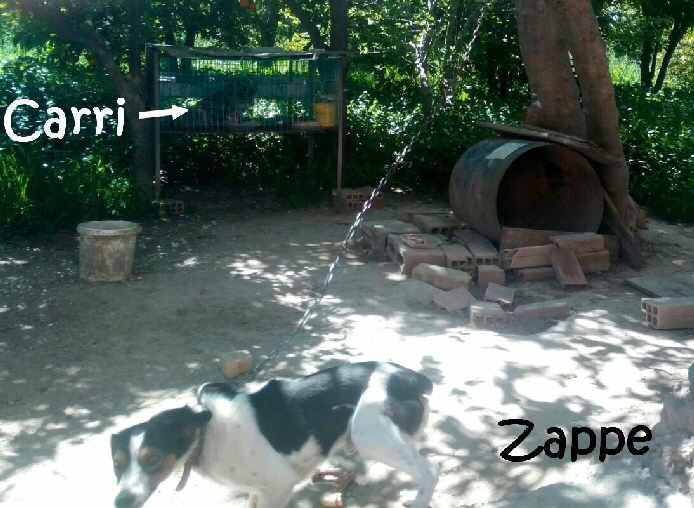 Carri_IMG-20170613-WA0013_mN