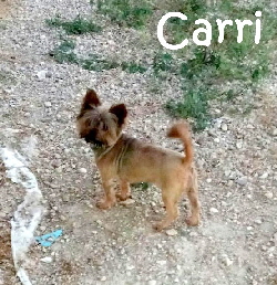 Carri_IMG-20170613-WA0027_mN