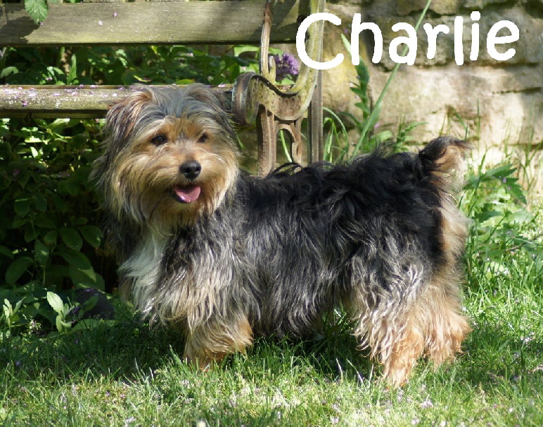 Charlie_DSC02990_mN
