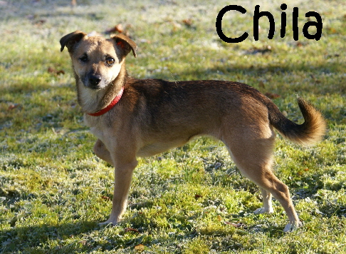 Chila_DSC00017_mN