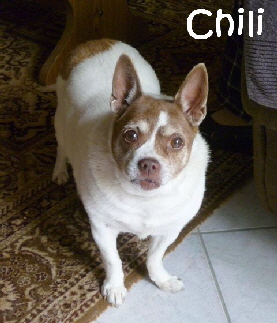 Chili_P1000960_mN