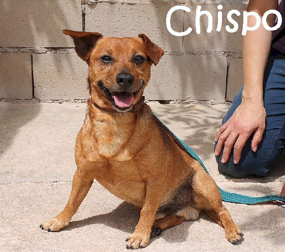 Chispo_IMG_2897
