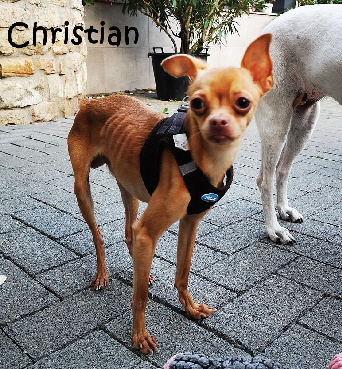 Christian_20240717_211332