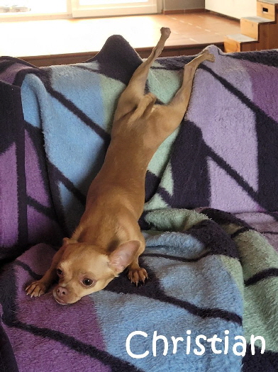 Christian_20240815_141527