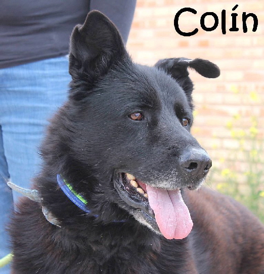 Coln_0547_mN