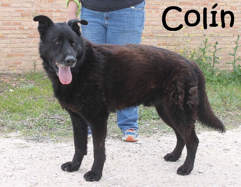 Coln_0570_mN