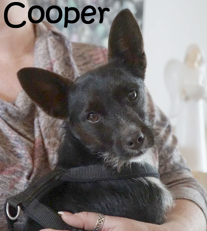 Cooper_DSC08609_1600x1067_mN