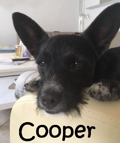 Cooper_IMG-20190214-WA0006_mN