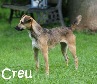 Creu_DSC08348_mN