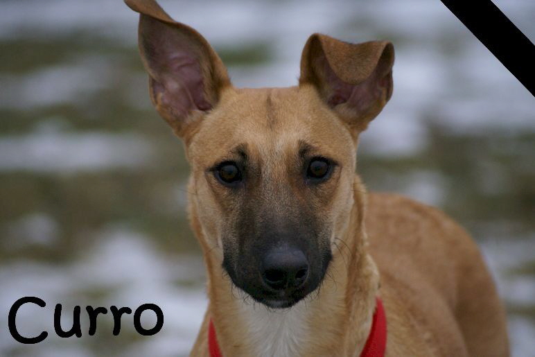 Curro_DSC00092_mN
