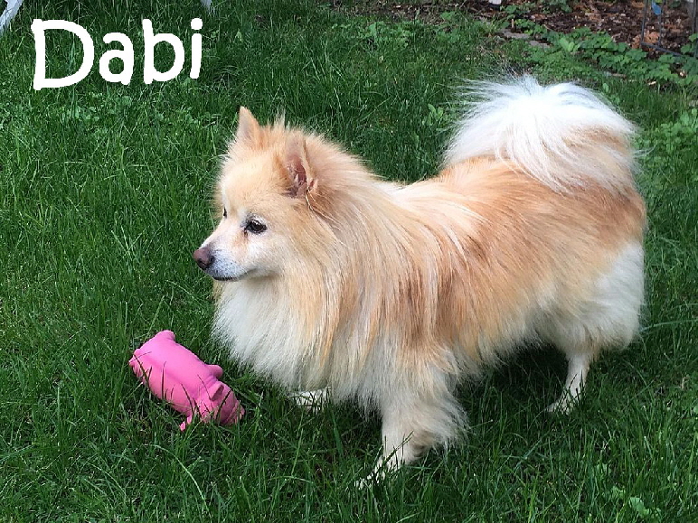 Dabi_IMG-20191006-WA0015_mN