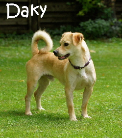 Daky_DSC07929_mN