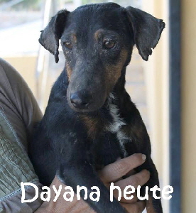 Dayana_14717287_1791126627795230_5862841295916096391_mN