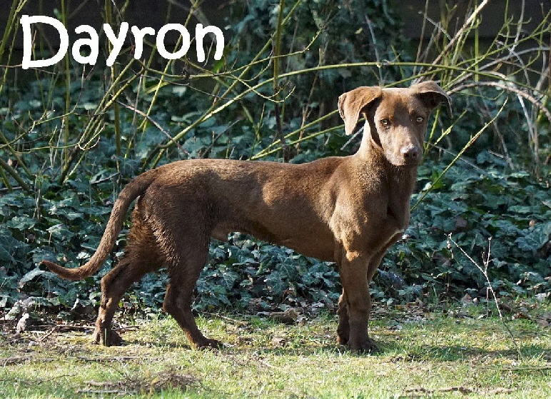 Dayron_DSC04924_mN