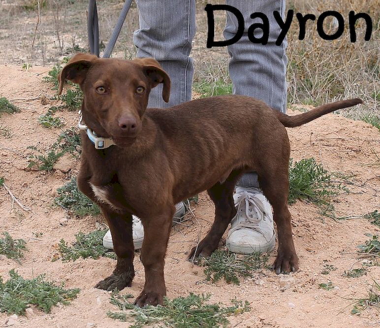 Dayron_IMG_7948_mN
