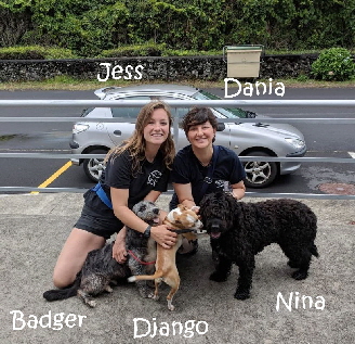 Django+Nina+Badger_IMG-20180903-WA0010_mN
