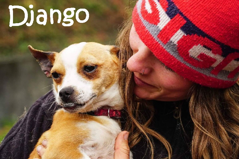 Django_IMG-20180628-WA0022_mN