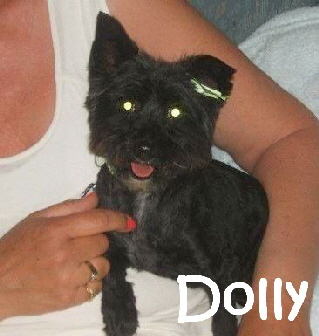 Dolly_02_mN