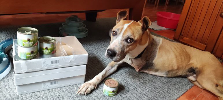 Dreibein-20250509-WA0003 Dreibein-20250509-WA0003