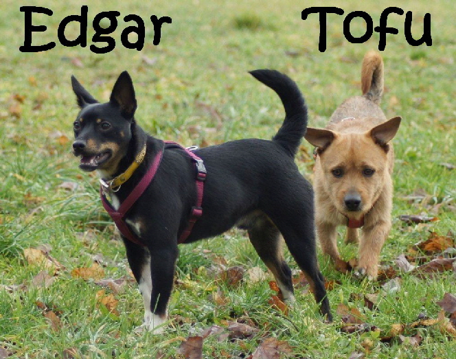 Edgar_DSC01152_mN_mN