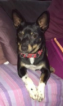 Edgar_IMG_4124