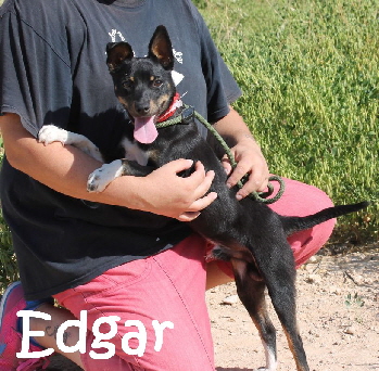 Edgar_IMG_9235_mN